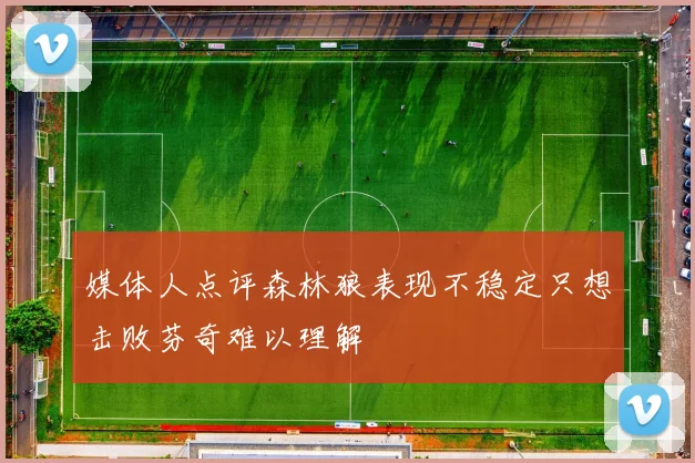 媒体人点评森林狼表现不稳定只想击败芬奇难以理解